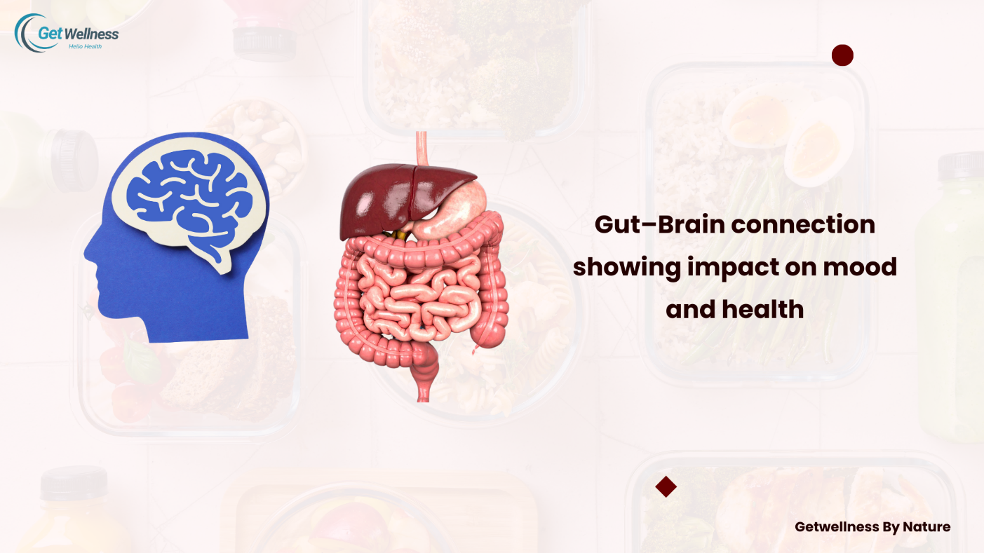 Microbiota&ndash;gut&ndash;brain axis &mdash; where the microbiome meets the mind.