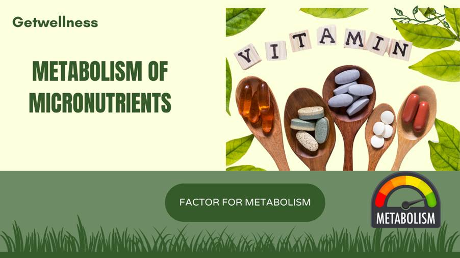 Pure Micronutrients  we will get supplementation ensure you&rsquo;re getting pure micronutrients without artificial fillers or additives.